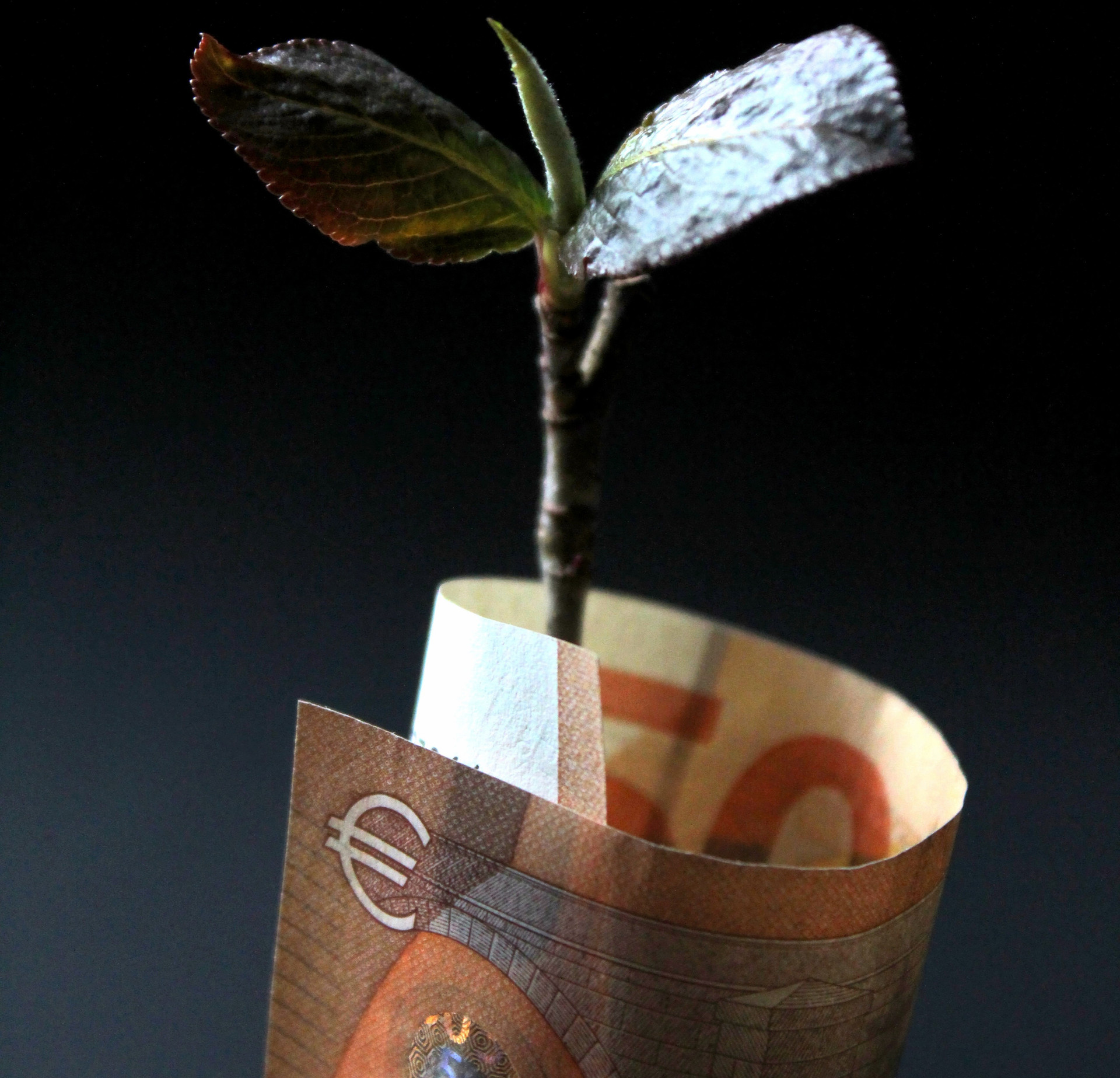 data-image2-3456x3325